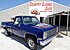1982 Chevrolet C/K Truck for sale 100987267